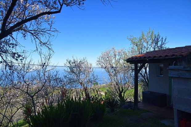 Atlantikblick in der Mandelbl�te