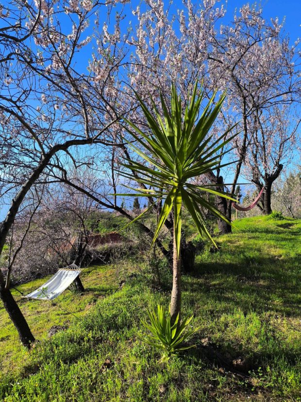 Sch�ne Gartenterrassen