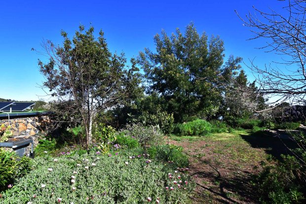 Sch�n angelegter Garten