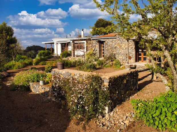 Sch�n angelegter Garten