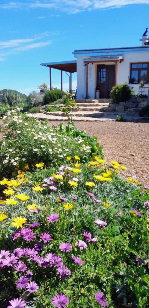 Sch�n angelegter Garten