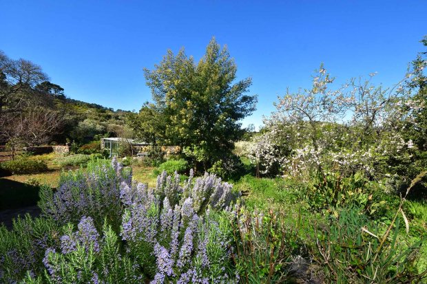 Bl�hendes Naturparadies