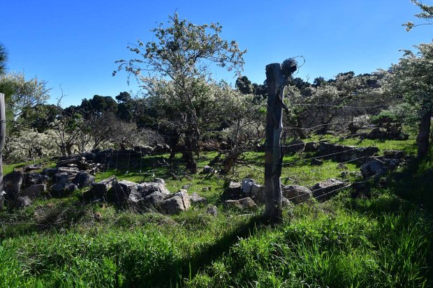 Era (historiscgher Dreschplatz)