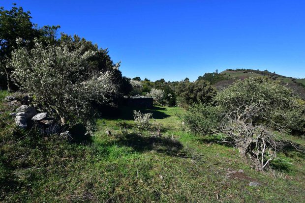 Viel Platz f�r eigene Projekte