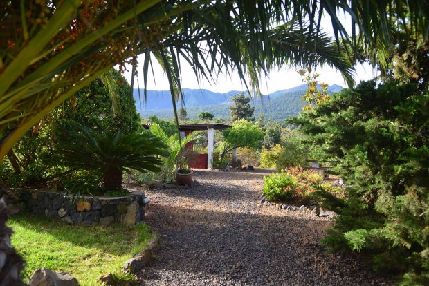 Sch�n eingewachsener Garten