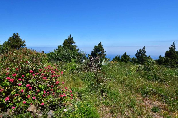 Natur- und Meerblick, unverbaubar