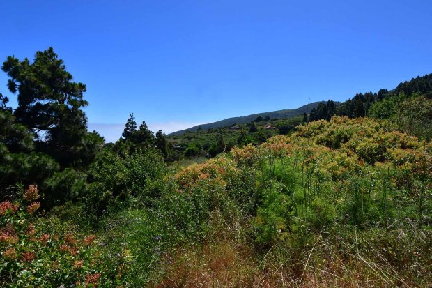 Natur- und Meerblick, unverbaubar