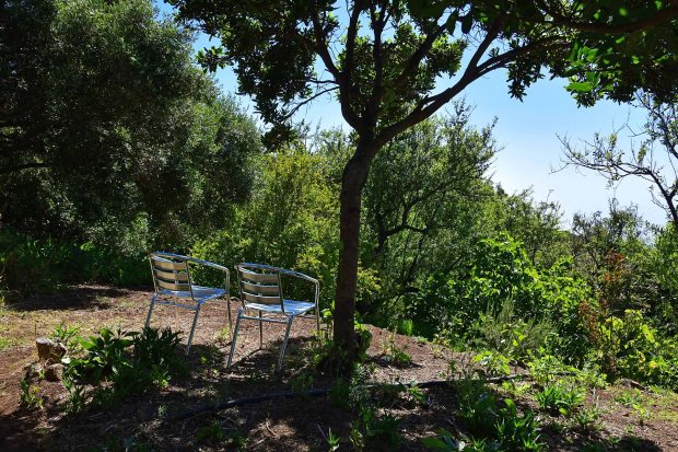 Idyllische Sitzpl�tze, nat�rlich beschattet