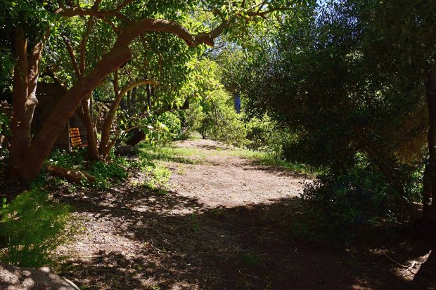 Sch�n angelegte Gartenwege, immer wieder mit schattigen Sitzpl�tzen