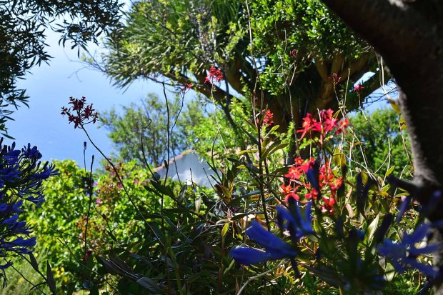 Sch�n angelegter Garten