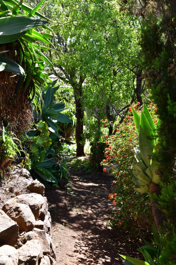 Sch�n angelegter und eingewachsener Garten