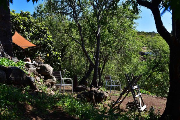 Gartenidyll unter Mandelb�umen