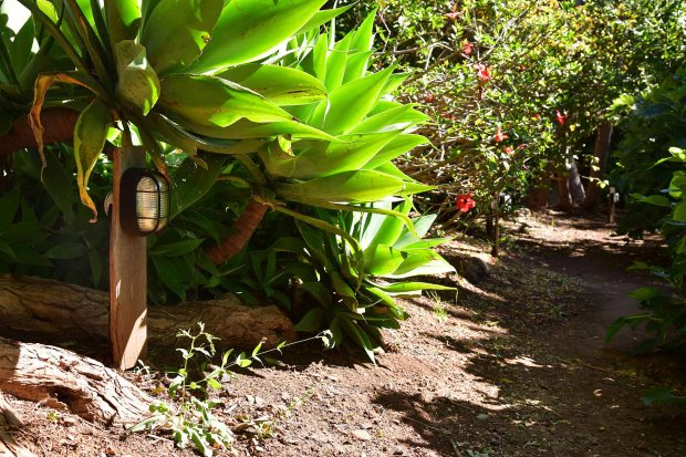 Gut angelegte Gartenwege mit Beleuchtung