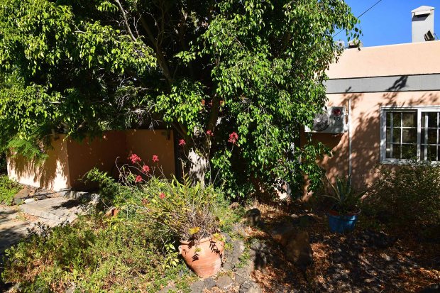 Sch�n eingewachsener Garten