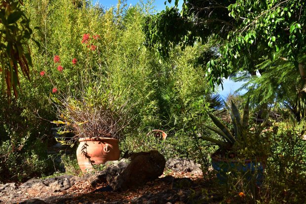 Sch�n angelegter Garten