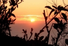 Meerblick