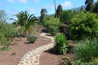 Pflegeleichter Garten