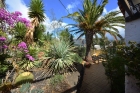 Schn eingewachsener Garten