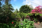 Schn eingewachsener Garten