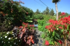 Schn eingewachsener Garten