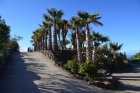 Palmenallee