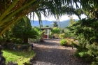 Schn angelegter Garten