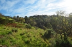Sdlicher Barranco, Blick nach Osten