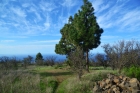 Bebaubare Flche, Blick nach Nordwesten