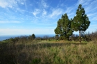 Bebaubare Flche, Blick nach Nordwesten