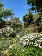 Schn angelegter Garten