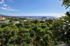 Sch�ner Blick auf die eigenen Fruchtb�ume und den Atlantik
