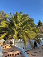 Bereich hiter dem Halbobergeschoss