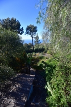 Sch�n eingewachsener Garten