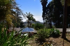 Sch�n eingewachsener Garten