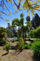 Sehr sch�n angelegter Garten