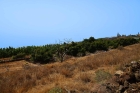 Sdseite Blick nach Nordwesten