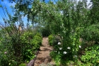 Typischer Bauerngarten