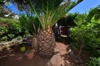 Abgetrennter Werk- und Gartenarbeitsbereich