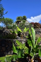 Aufwndig angelegter Gartenbereich