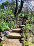 Gut angelegte Gartenwege