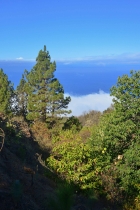 Wundervolle Aussichten