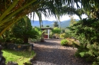 Sch�n eingewachsener Garten