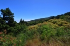 Natur- und Meerblick, unverbaubar