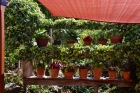 Haupthaus teil�berdachte Terrasse