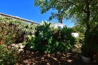 Sch�n angelegter und eingewachsener Garten