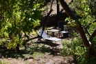 �berall idyllische Sitz- und Liegepl�tze