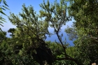 Sch�n angelegter und eingewachsener Garten