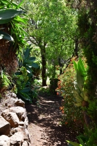 Sch�n angelegter und eingewachsener Garten