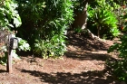 Gut angelegte Gartenwege mit Beleuchtung