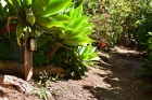 Gut angelegte Gartenwege mit Beleuchtung